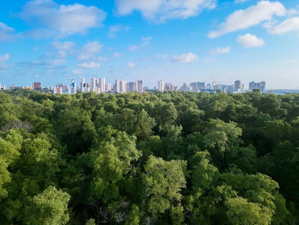 Secrets pour bien gérer votre blog généraliste pbn