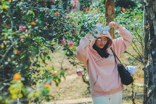 Boostez votre agriculture avec le meilleur matériel professionnel