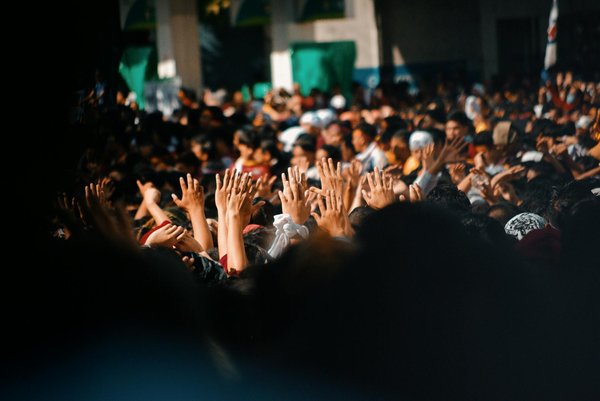 Jardinage : comment sublimer votre espace extérieur facilement