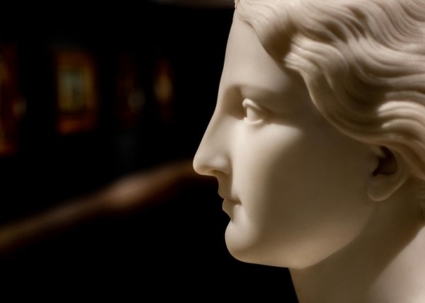 Découvrez des techniques innovantes pour promouvoir le bien-être animal dans les écoles !