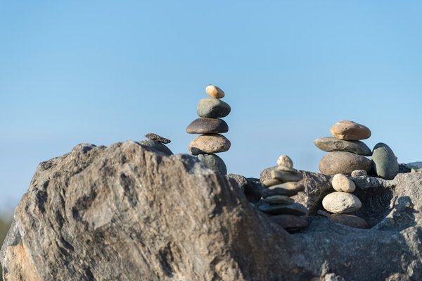 Équilibre parfait : beauté, mode et bien-être au quotidien